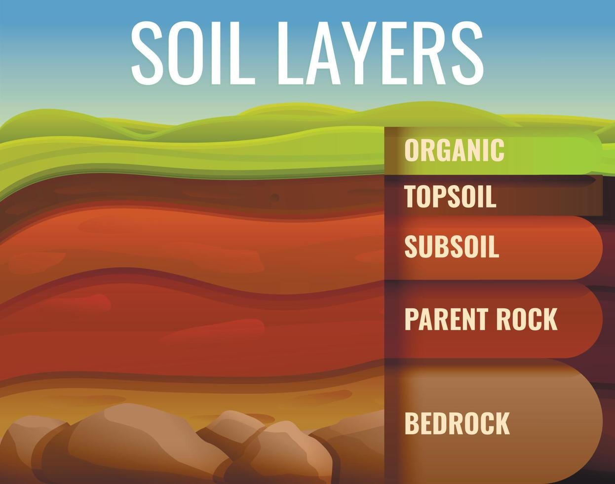 Soil ground land infographic, cartoon style vector