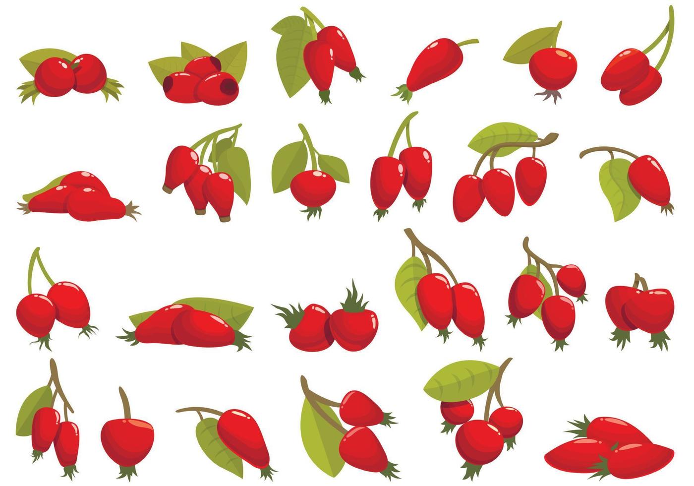 Rosehip icons set cartoon vector. Agriculture juice vector