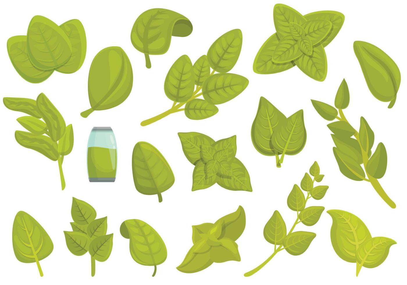 Oregano icons set cartoon vector. Aroma herb vector