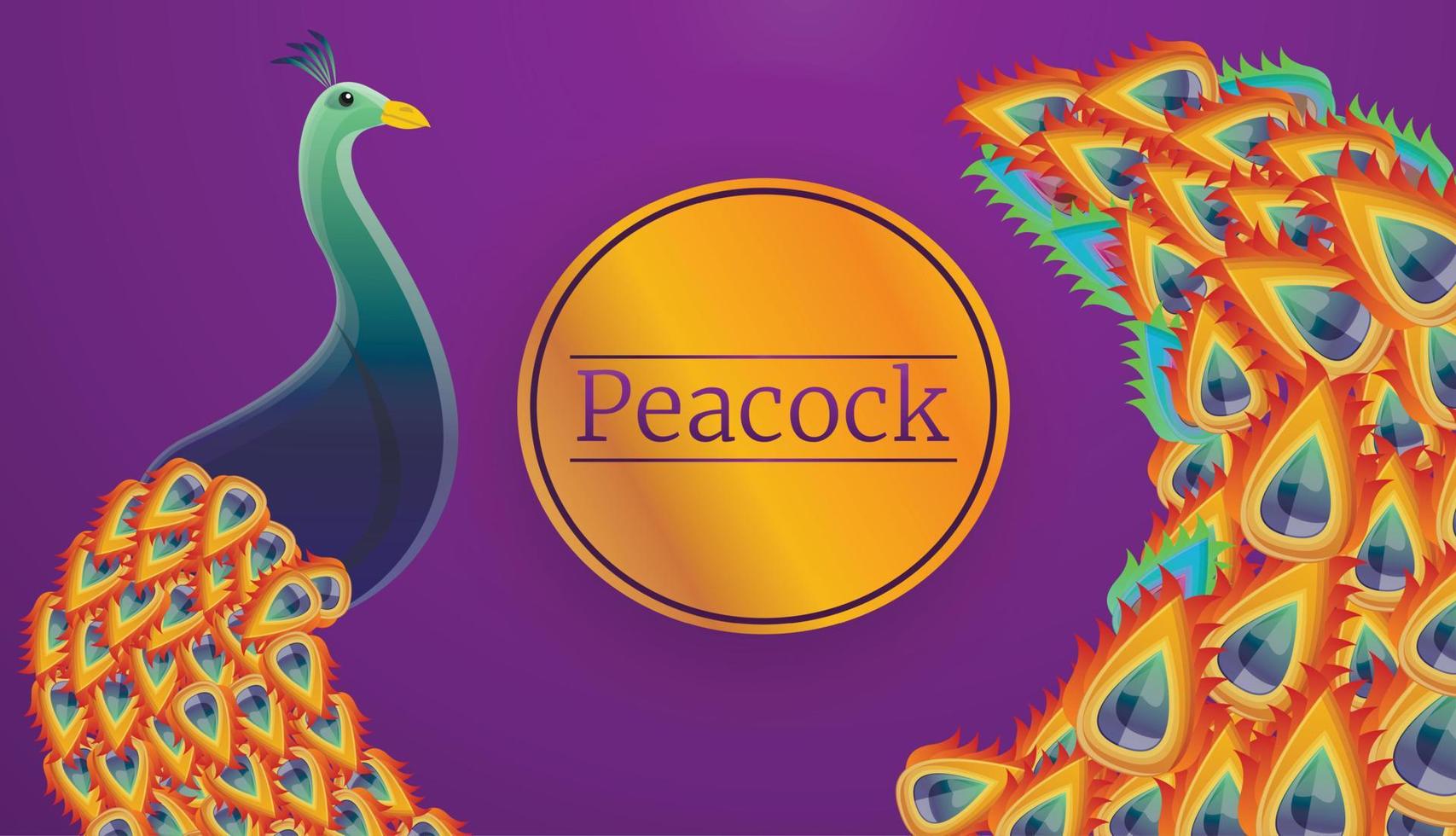 banner de concepto de pájaro pavo real, estilo de dibujos animados vector