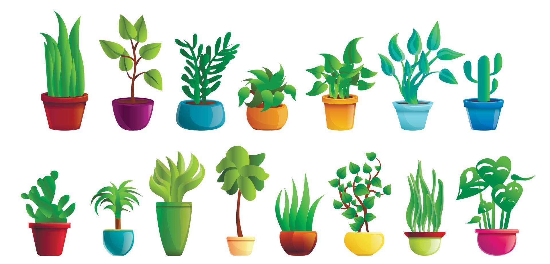 Houseplants icons set, cartoon style vector