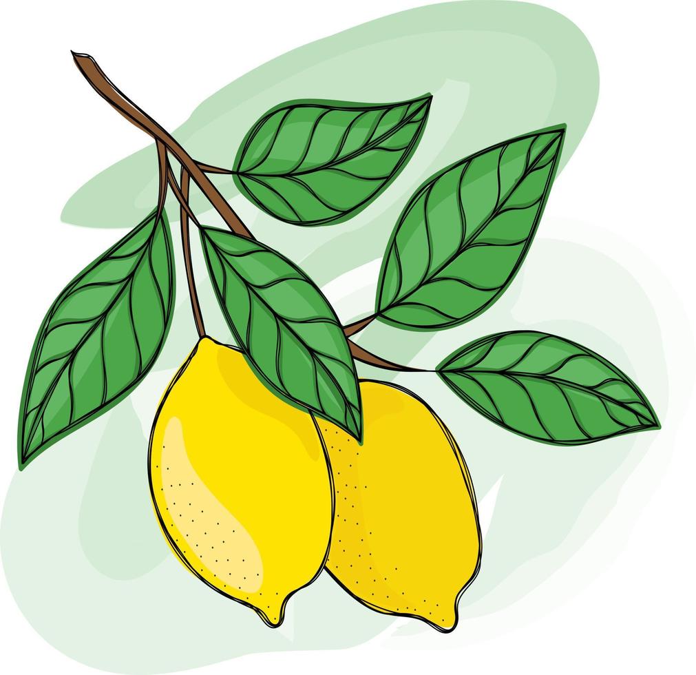 Bright juicy lemon with twigs vector