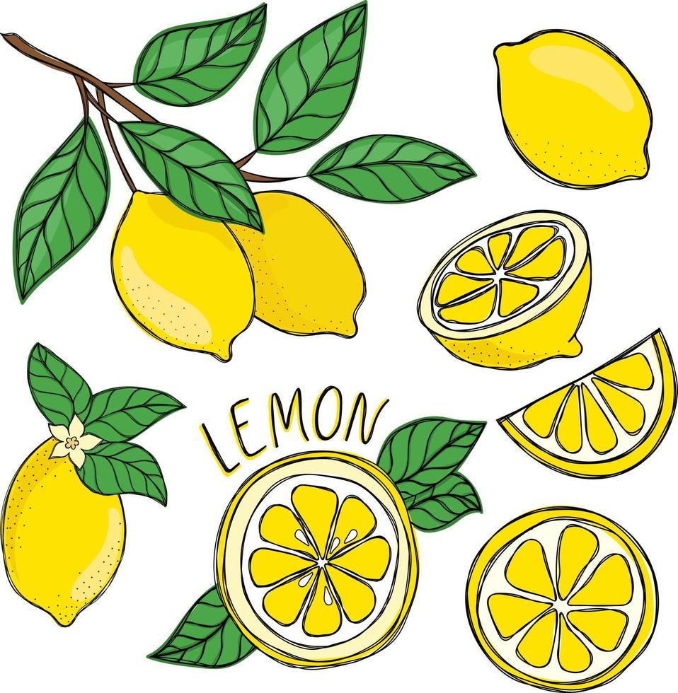 Small cute lemon summer set vector