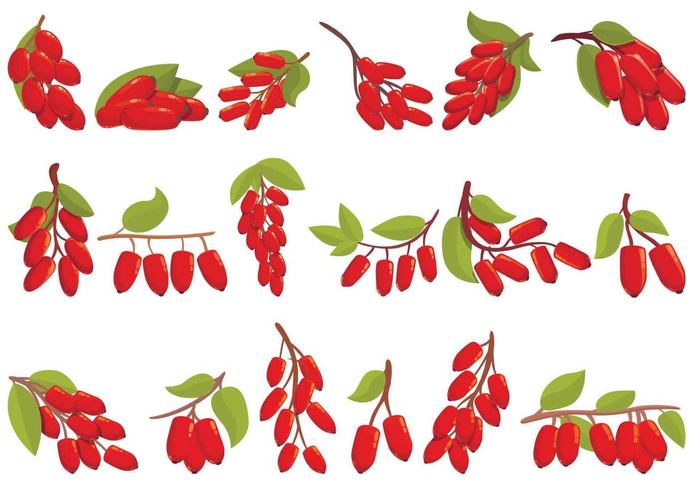 Barberry icons set cartoon vector. Goji berberine vector