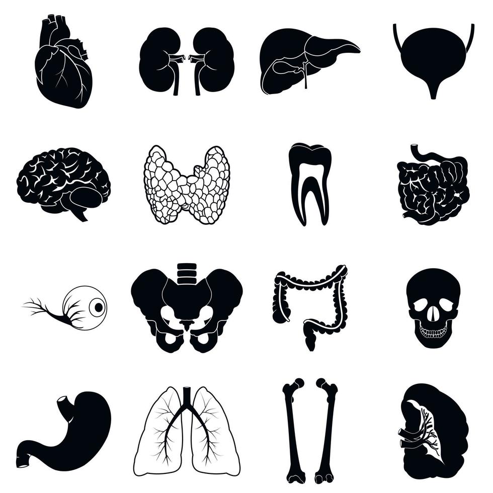 Internal organs black simple icons vector