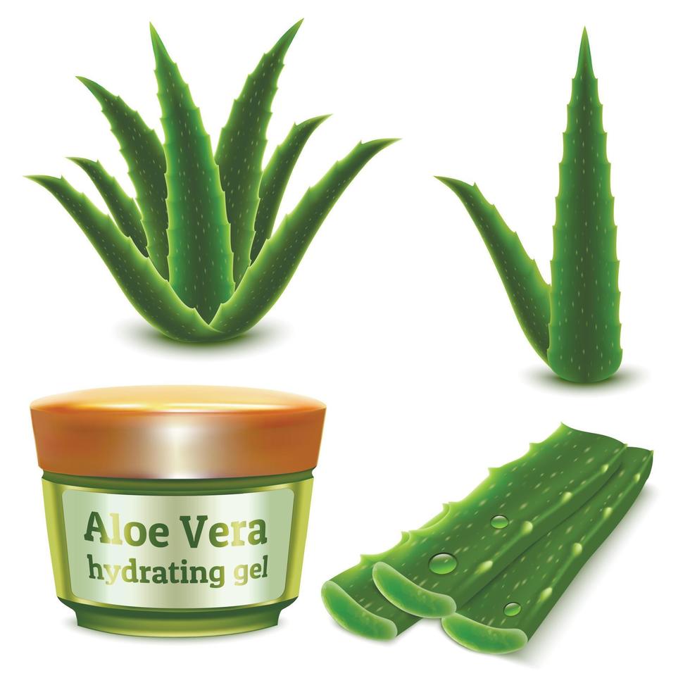 conjunto de iconos de aloe, estilo realista vector