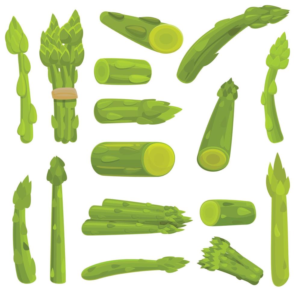 Asparagus icons set, cartoon style vector