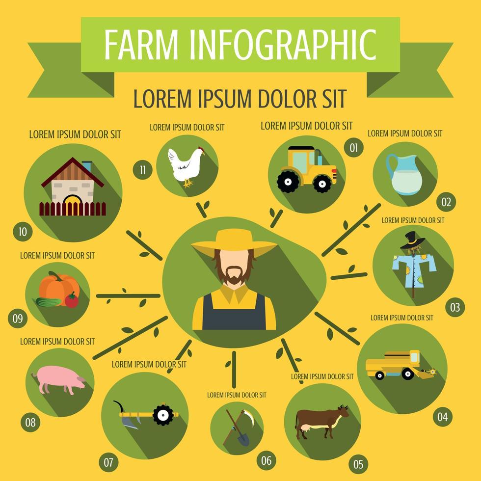 Farm infographic, flat style vector