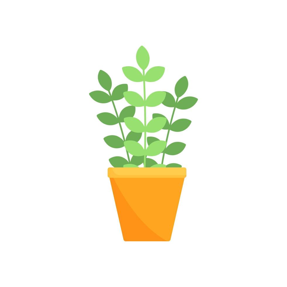 House tropical plant in pot. vector