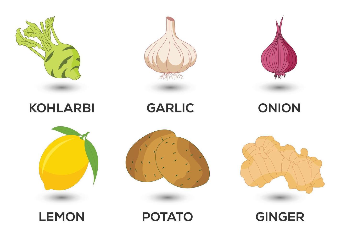 Vegetable icons set vector illustration. Collection of farm products for restaurant menus.