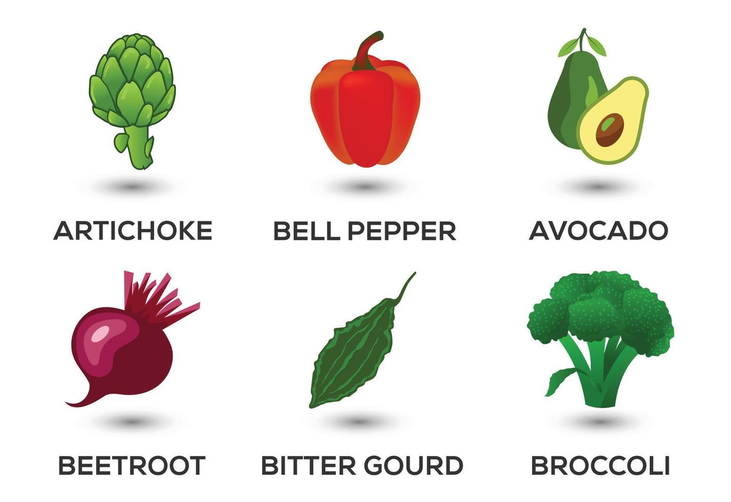 Vegetable icons set vector illustration. Collection of farm products for restaurant menus.