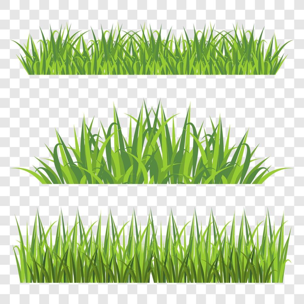 Grass Elements on Transparent Background vector