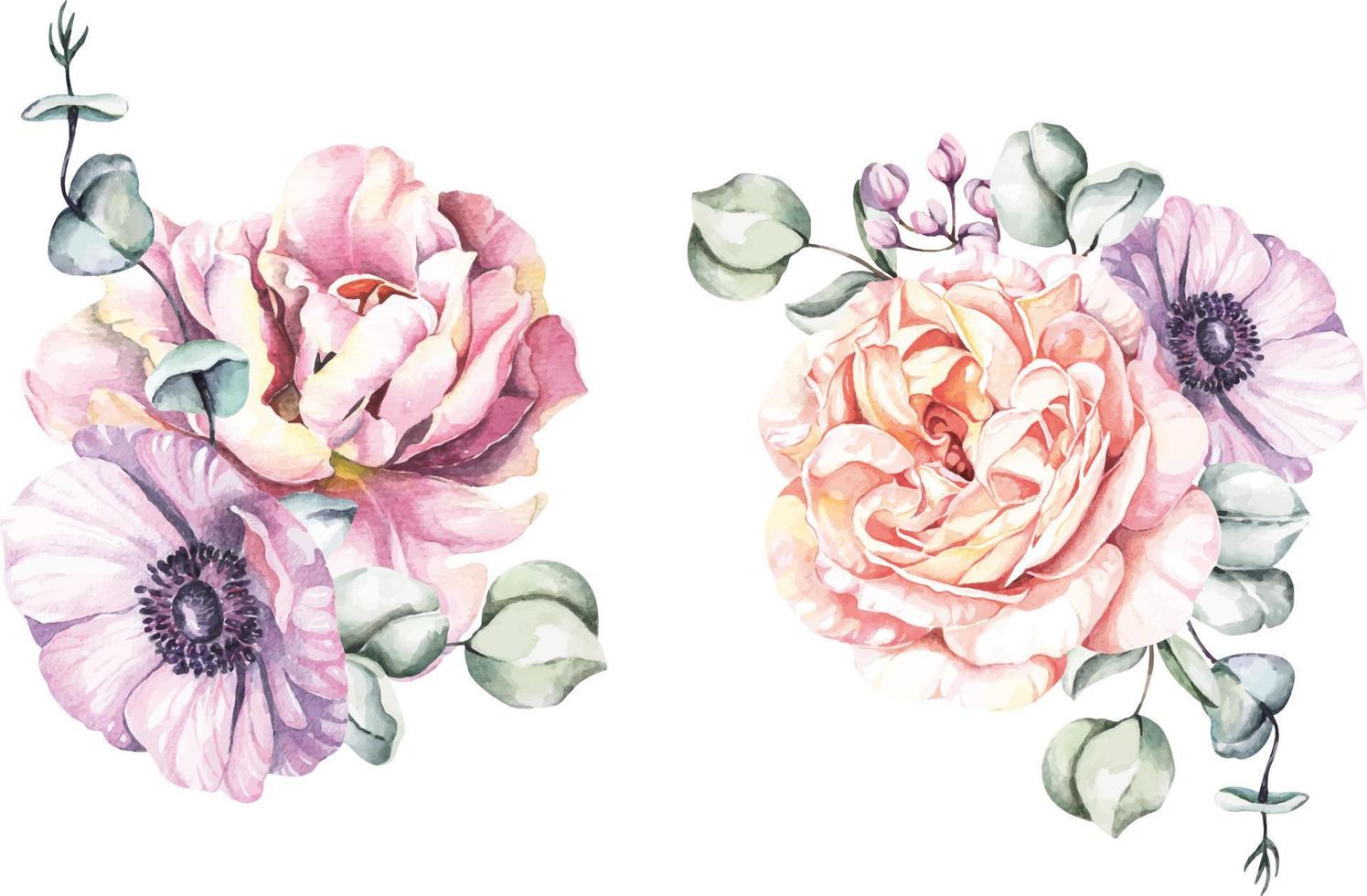 Bouquet rose and blooming flowers painted with watercolors  For decorating wedding invitation cards. vector