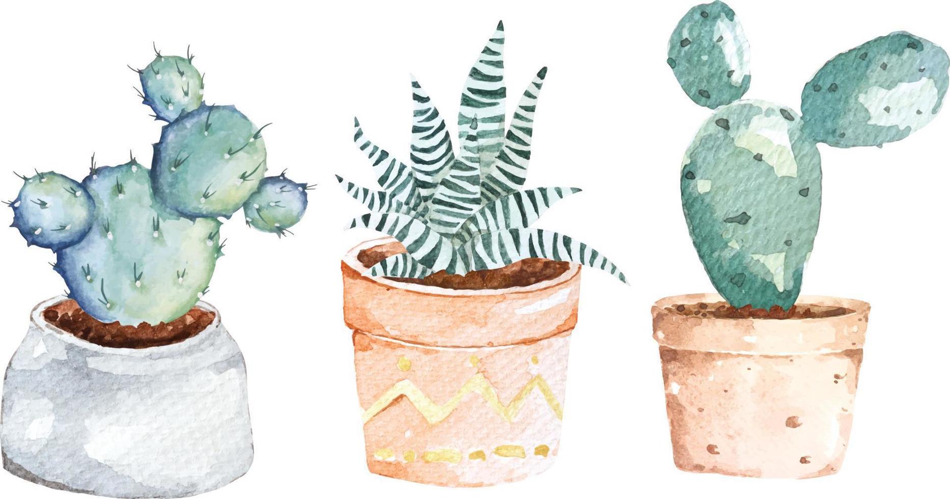 Watercolor cactus.Cactus plants in ceramic pots.Botanical painting. vector
