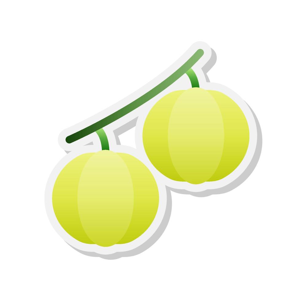 Star gooseberry sticker icon, Vector, Illustration. vector