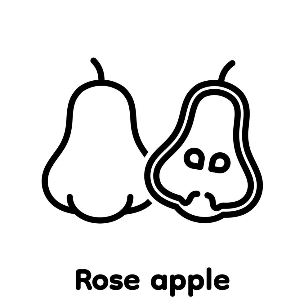 Rose apple fruit linear icon, Vector, Illustration. 8970546 Vector Art at Vecteezy