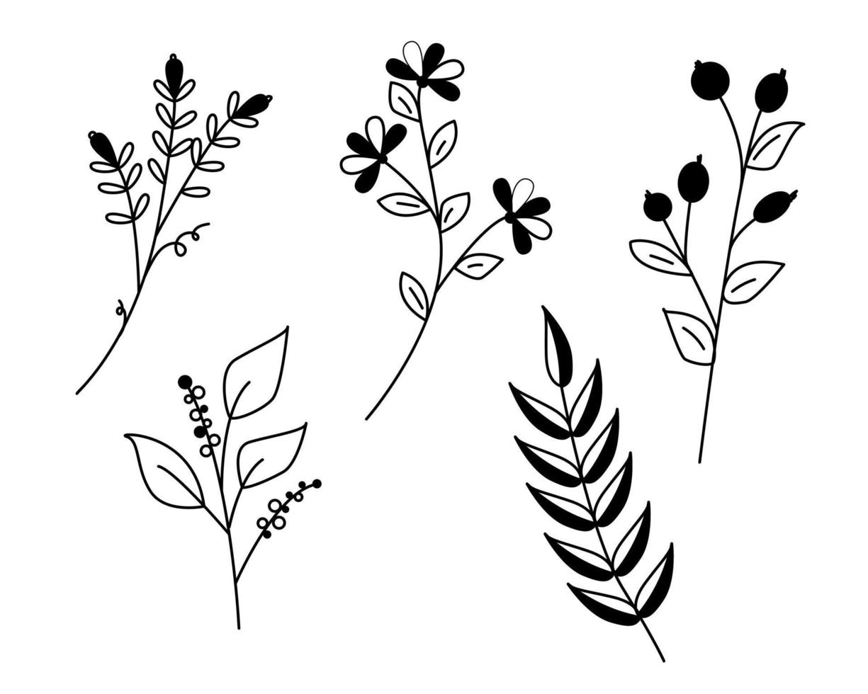 Hand draw flowers and twigs vector