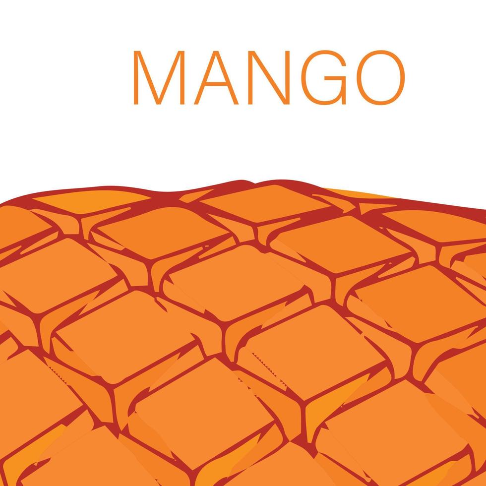 textura de fruta de mango para el fondo y vector