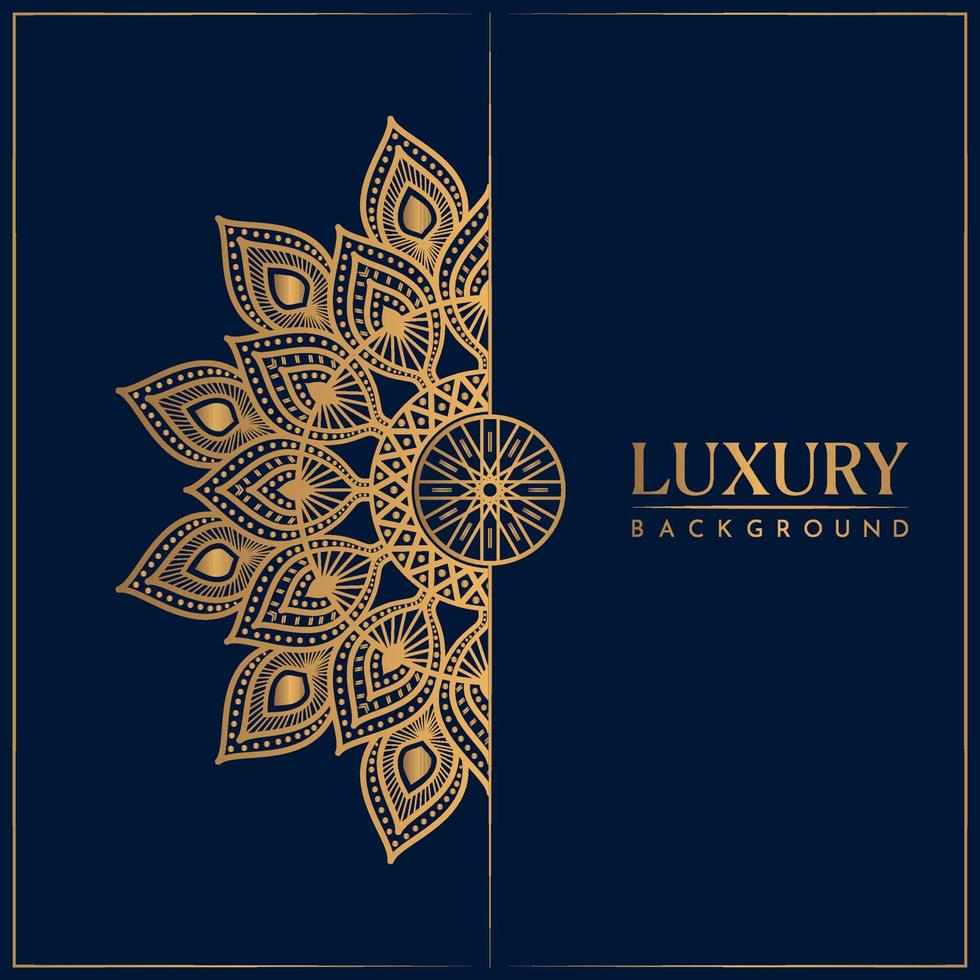 Luxury mandala background with golden elements vector in illustration