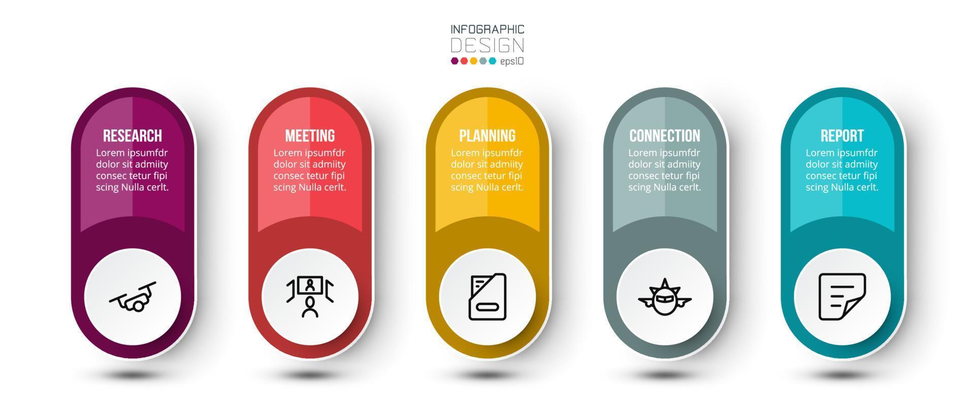 Business concept infographic template with option. vector