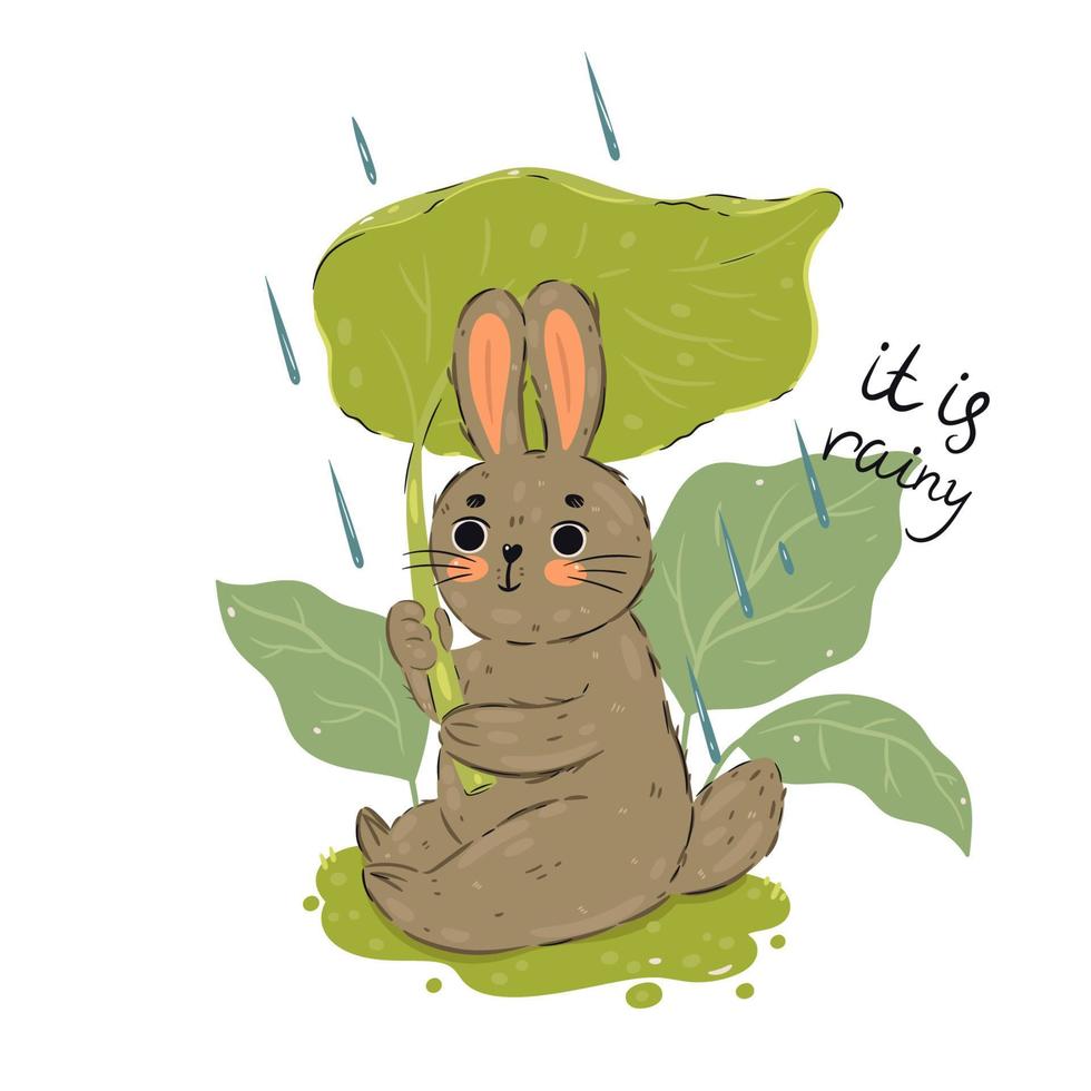 Cute rabbit with a big leaf in its paws. vector