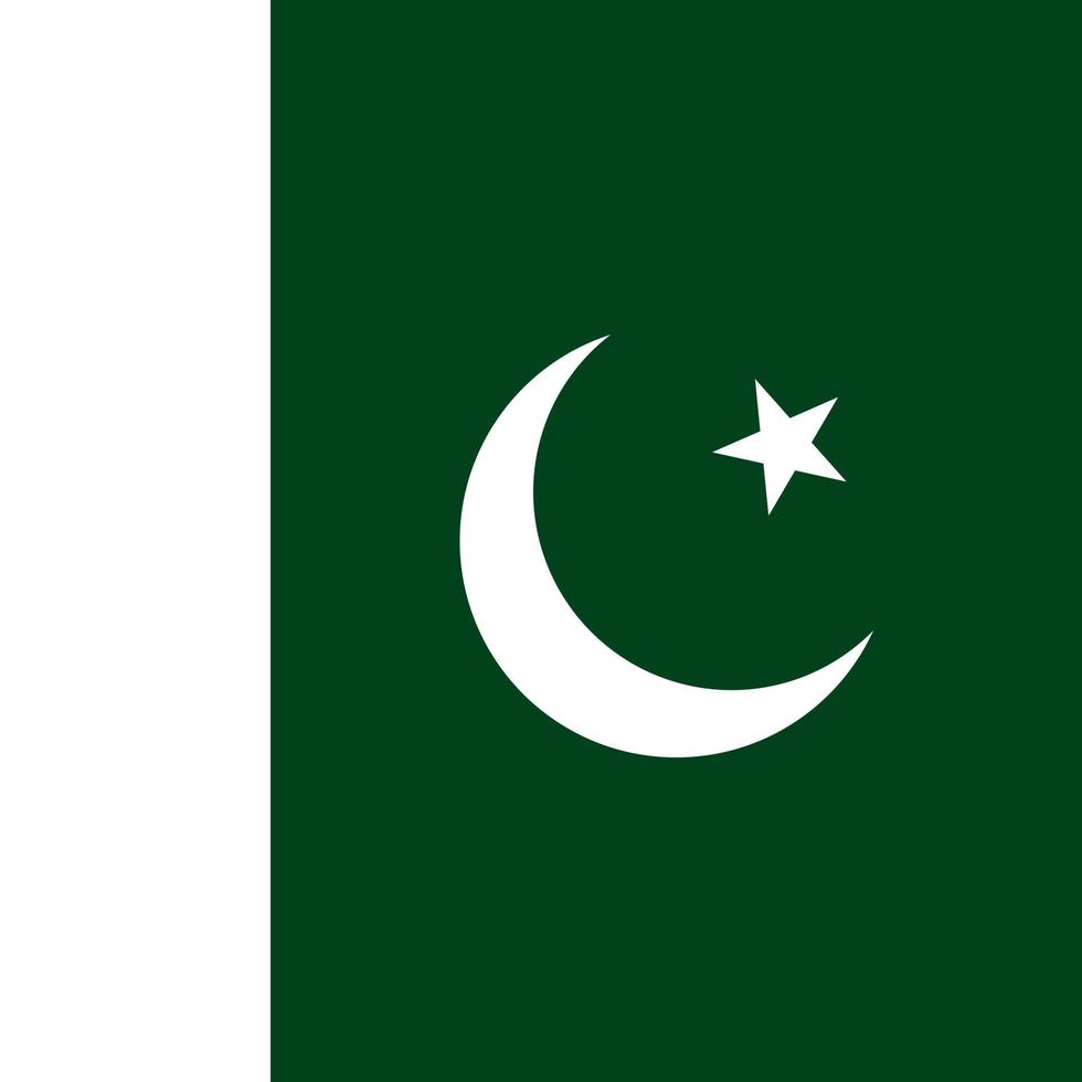 Pakistan flag, official colors. Vector illustration.