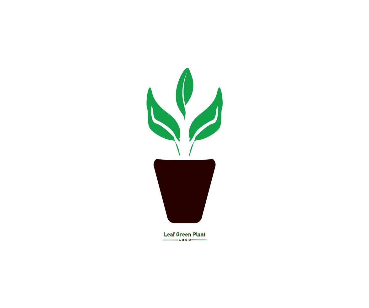 plantilla de diseño gráfico de vector de planta verde hoja