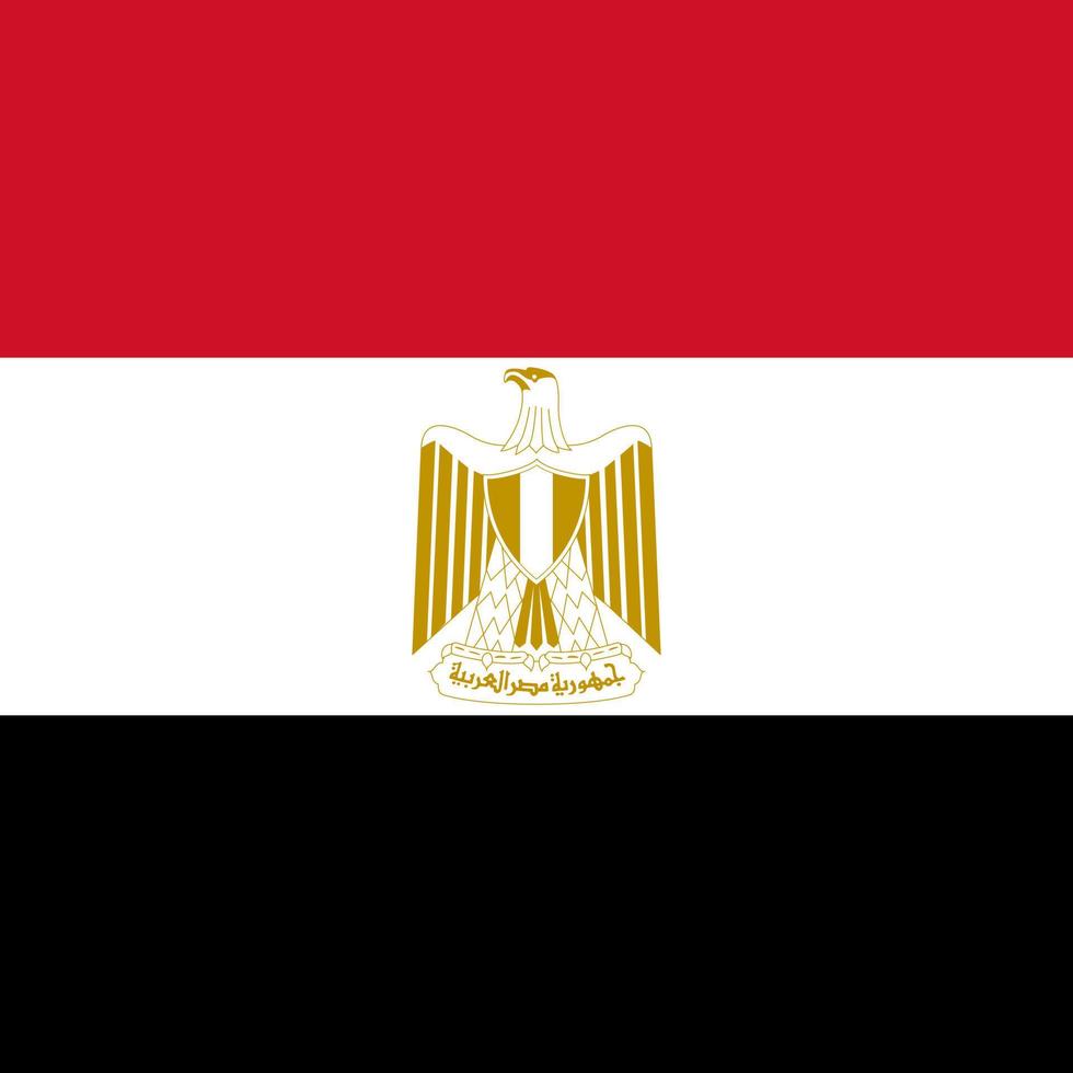 Egypt flag, official colors. Vector illustration.