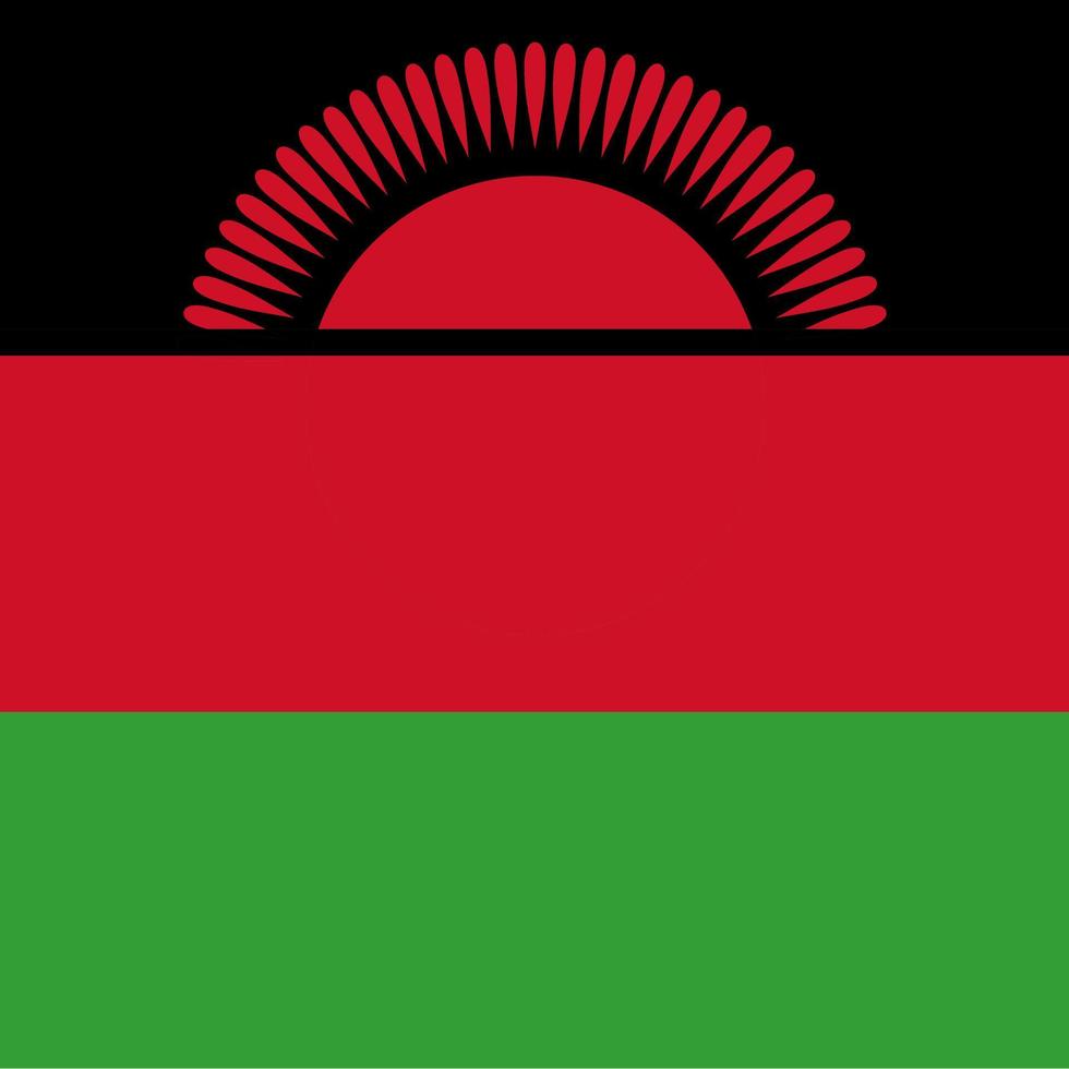 Malawi flag, official colors. Vector illustration.