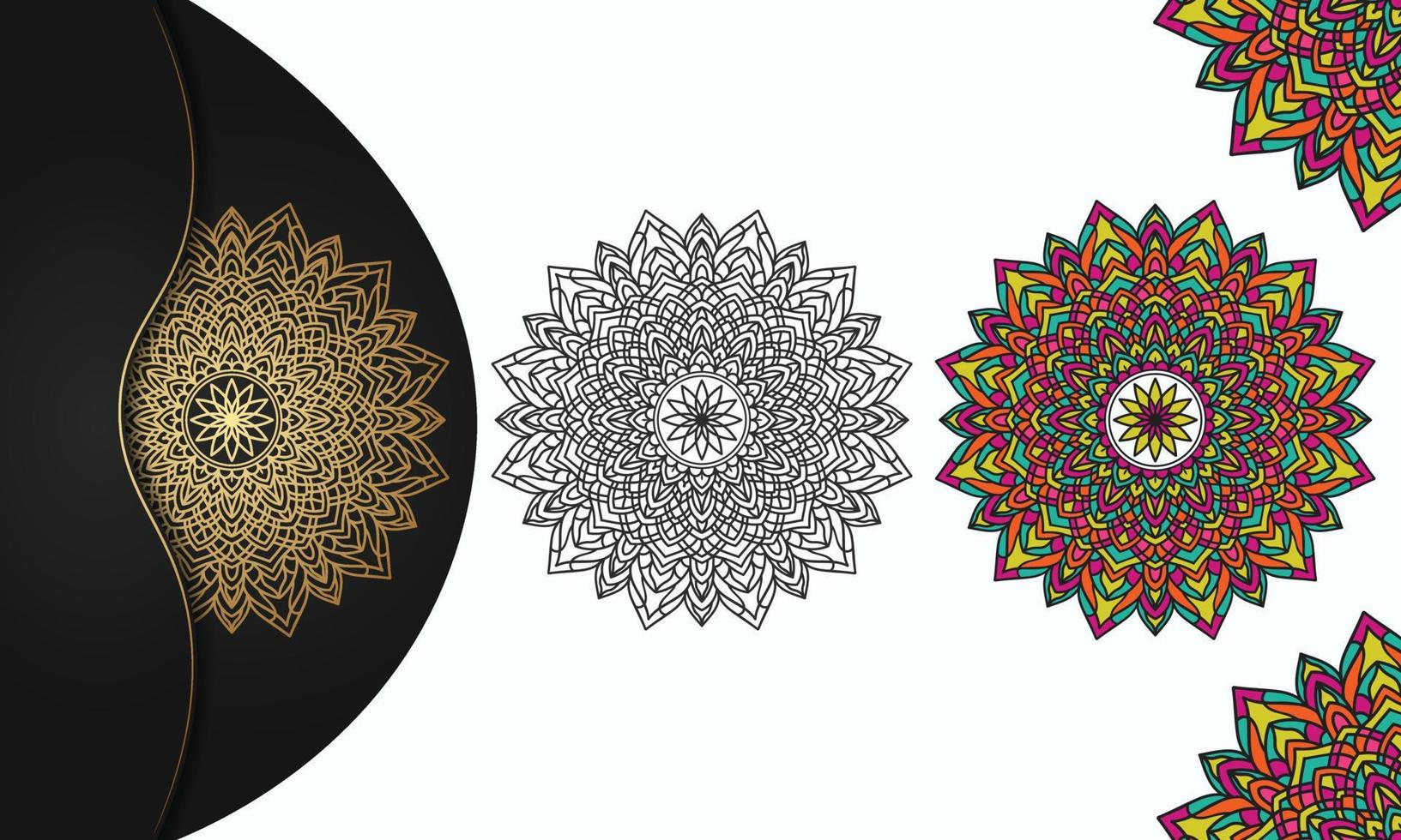 Colorful mandala with luxury background vector