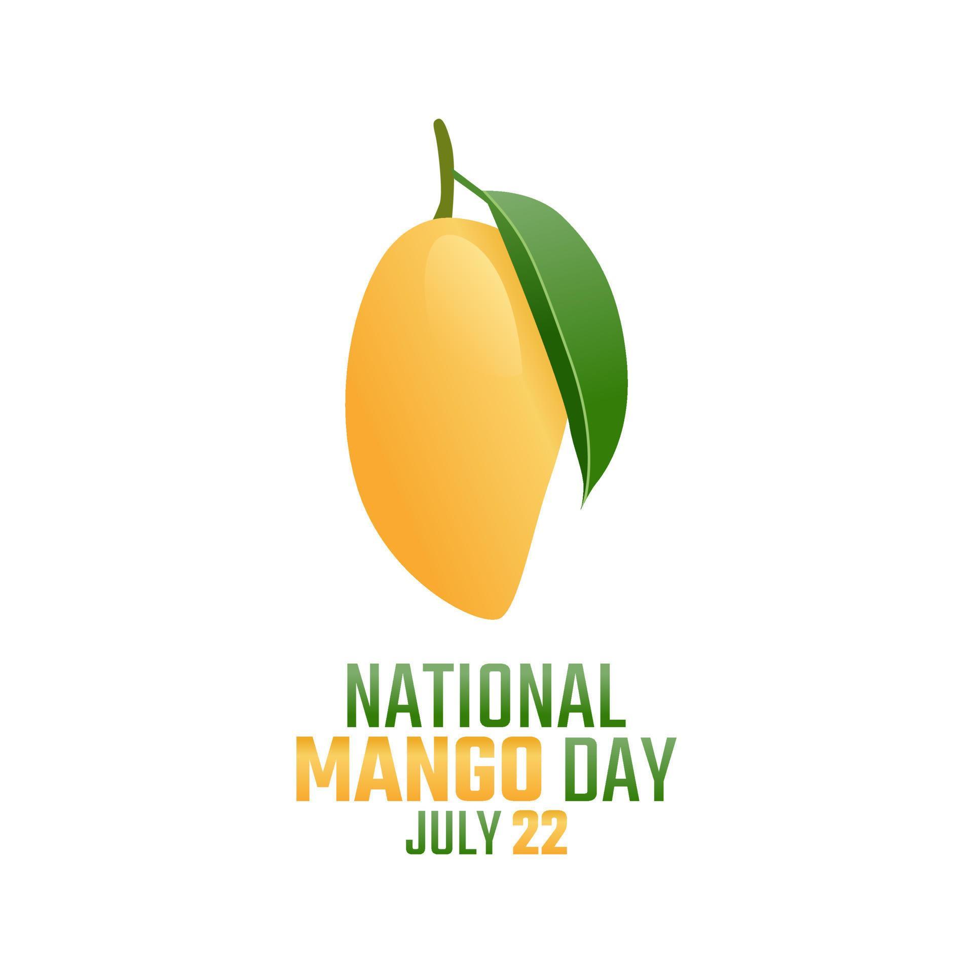 vector graphic of national mango day good for national mango day