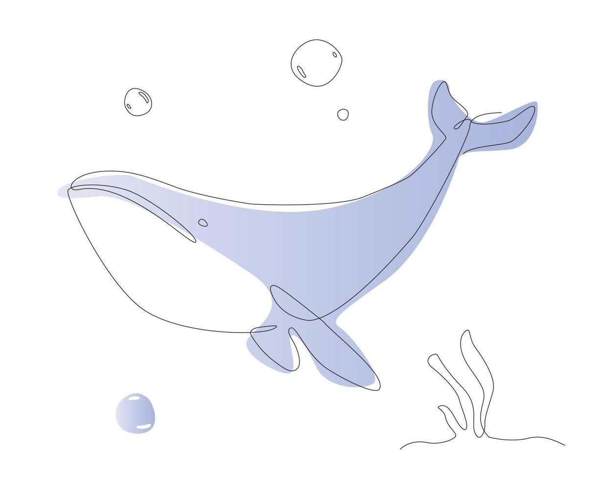 One line whale illustration. Sea life mammal line art vector. Cute fish outline vector