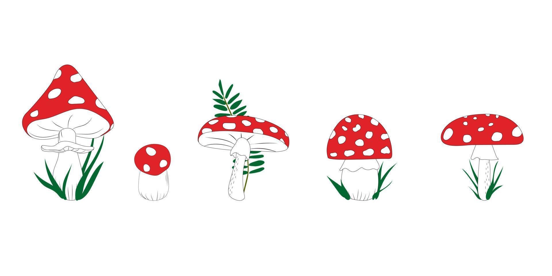 Set of five hand-drawn bright red fly-agaric mushrooms with green leaves of grass. Vector illustration isolated on white background.