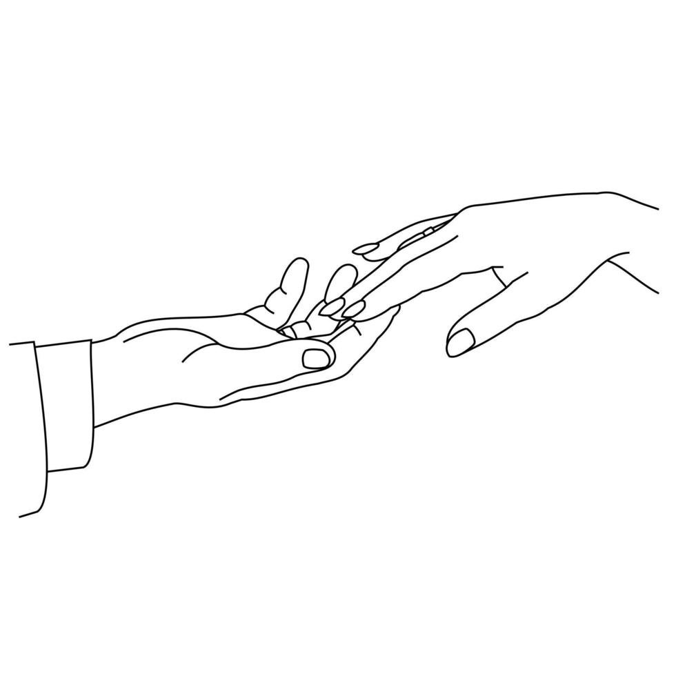 Illustration line drawing a close up of a male and female hands holding each other. Couple man and woman at the wedding holding hands. Hands of groom and bride at wedding day isolated on a white vector