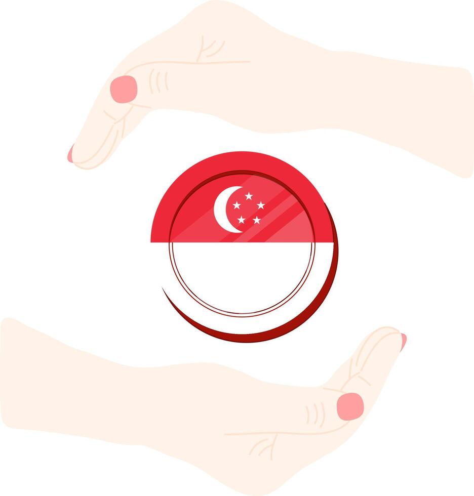 Singapore vector hand drawn flag, Singapore Dollar