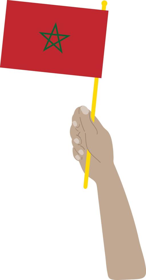 Moroccan vector hand drawn flag, Moroccan dirham