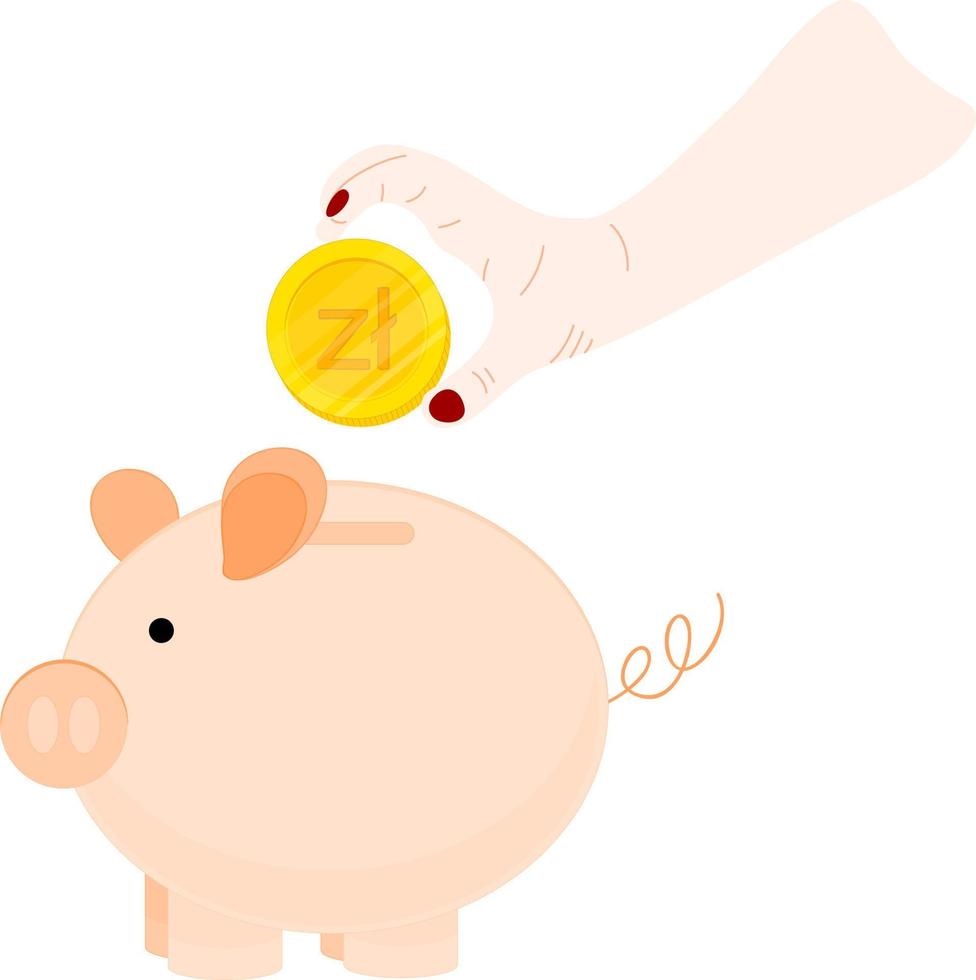 Poland vector hand drawn flag, Polish coins