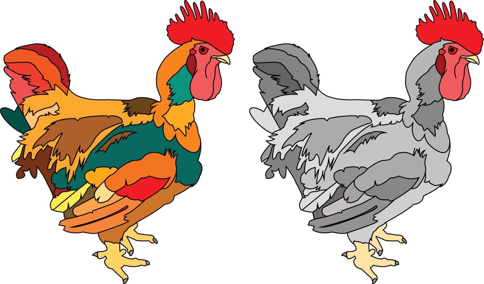 elemento de diseño de gallo o pollo macho con un estilo de color gris y colorido vector