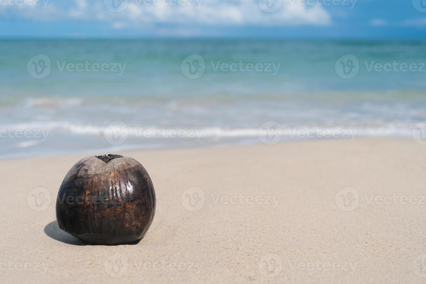 Tropical nature clean beach white sand and coconut in summer with sun light blue sky and bokeh. photo