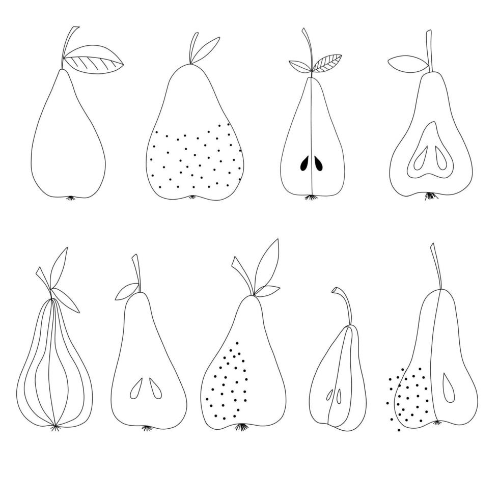 Set of linear pears isolated on white background. Vector doodle outline illustration of fresh summer fruit.