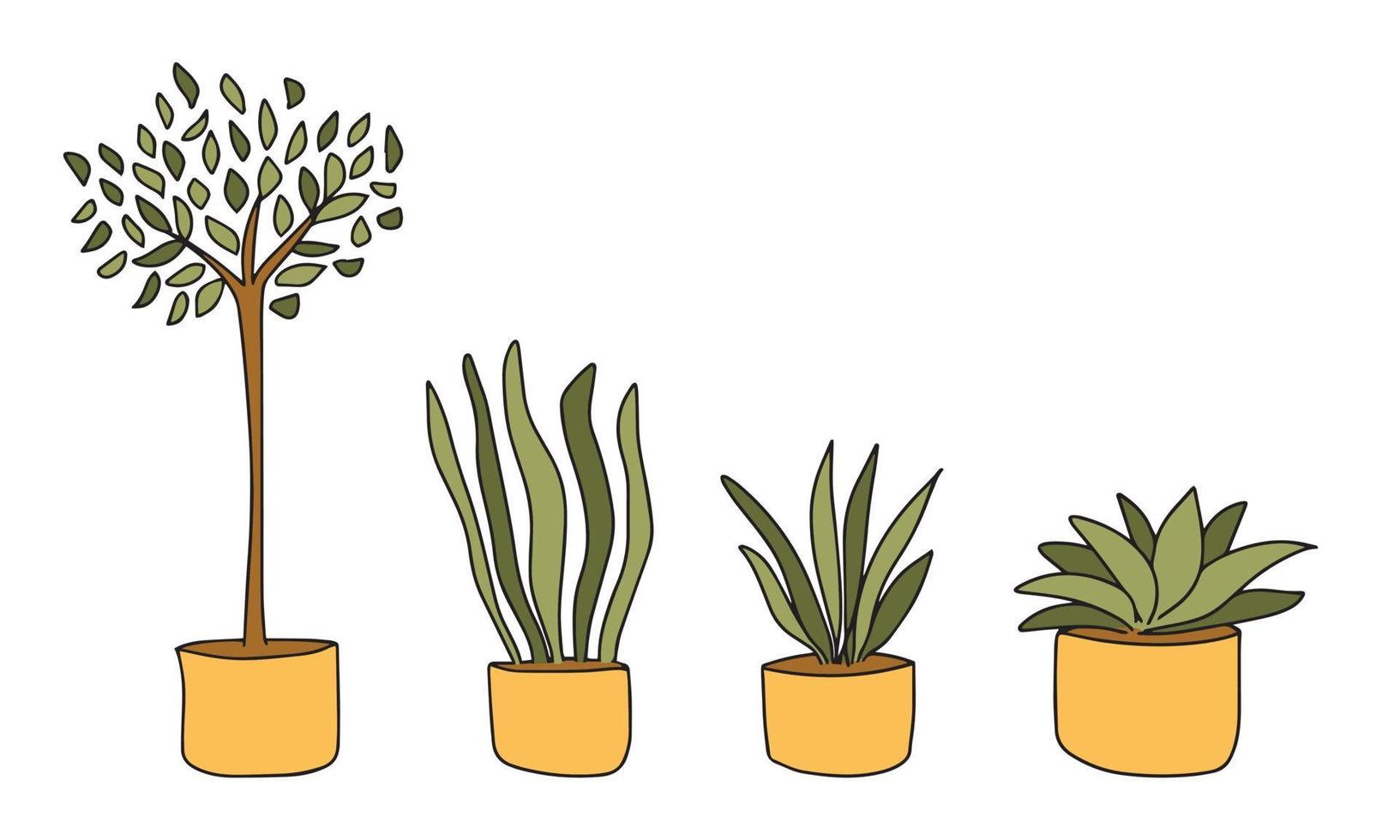 conjunto de plantas caseras aisladas en macetas para decorar su sala de  estar u oficina. paquete de plantas en maceta, plantas de interior.  colección de vectores 8977384 Vector en Vecteezy