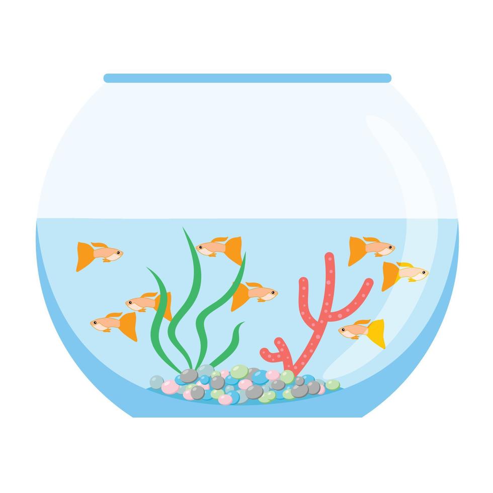 acuario con peces exóticos nadando en oro. hábitat de acuario submarino con plantas marinas. ilustración dibujada por vector plano, objetos aislados.