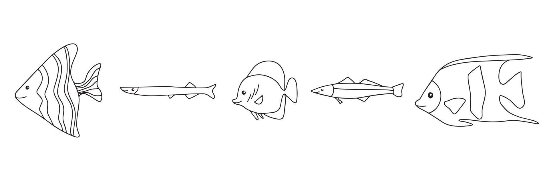 diferentes tipos de iconos de contorno de pescado en la colección de conjuntos para el diseño. Ilustración de stock de símbolo de mapa de bits de peces marinos y de acuario. vector