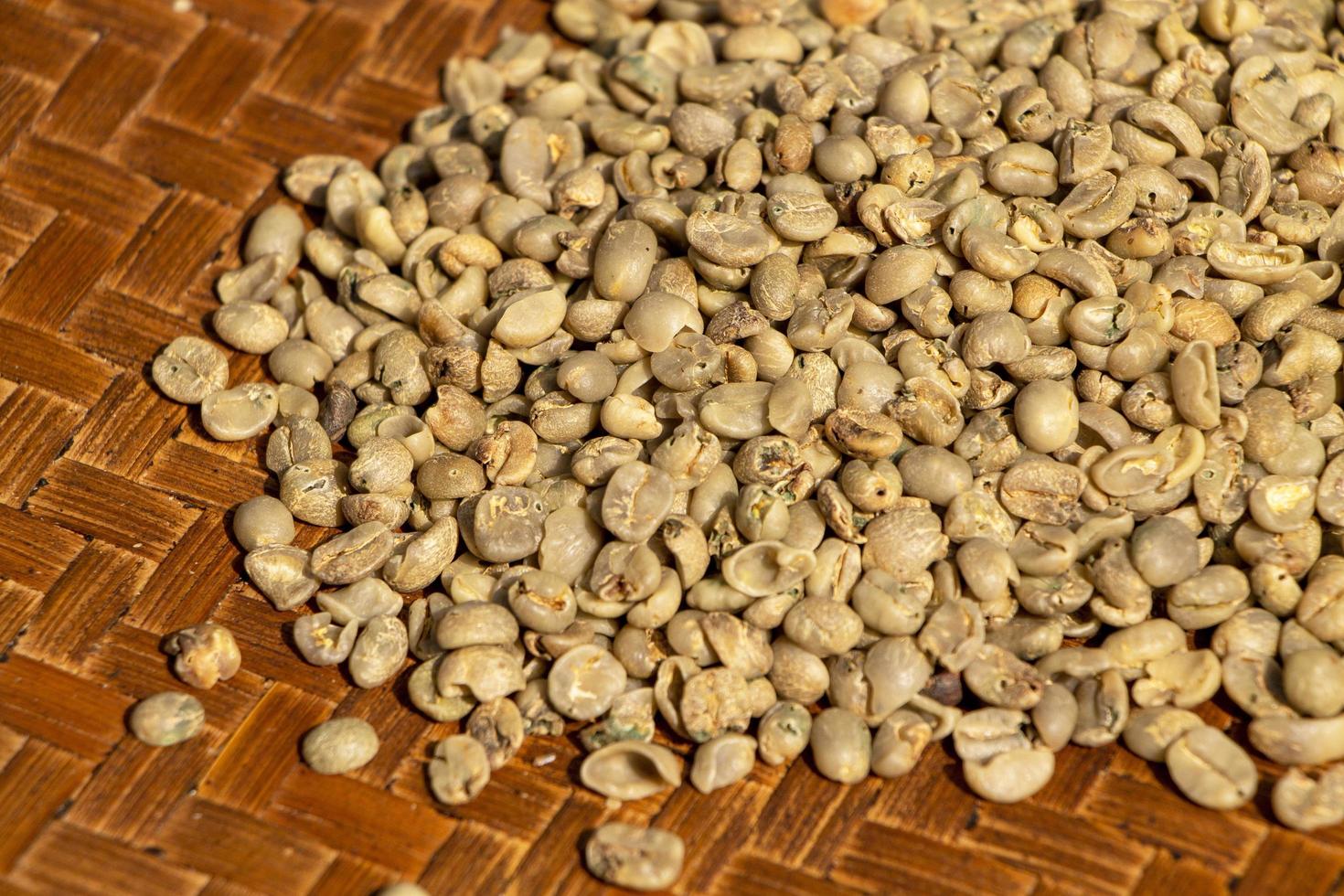 spoil green coffee bean in a bamboo tray. The damage of coffee beans from a coffee berry borer is a serious problem for Thai coffee farmers photo