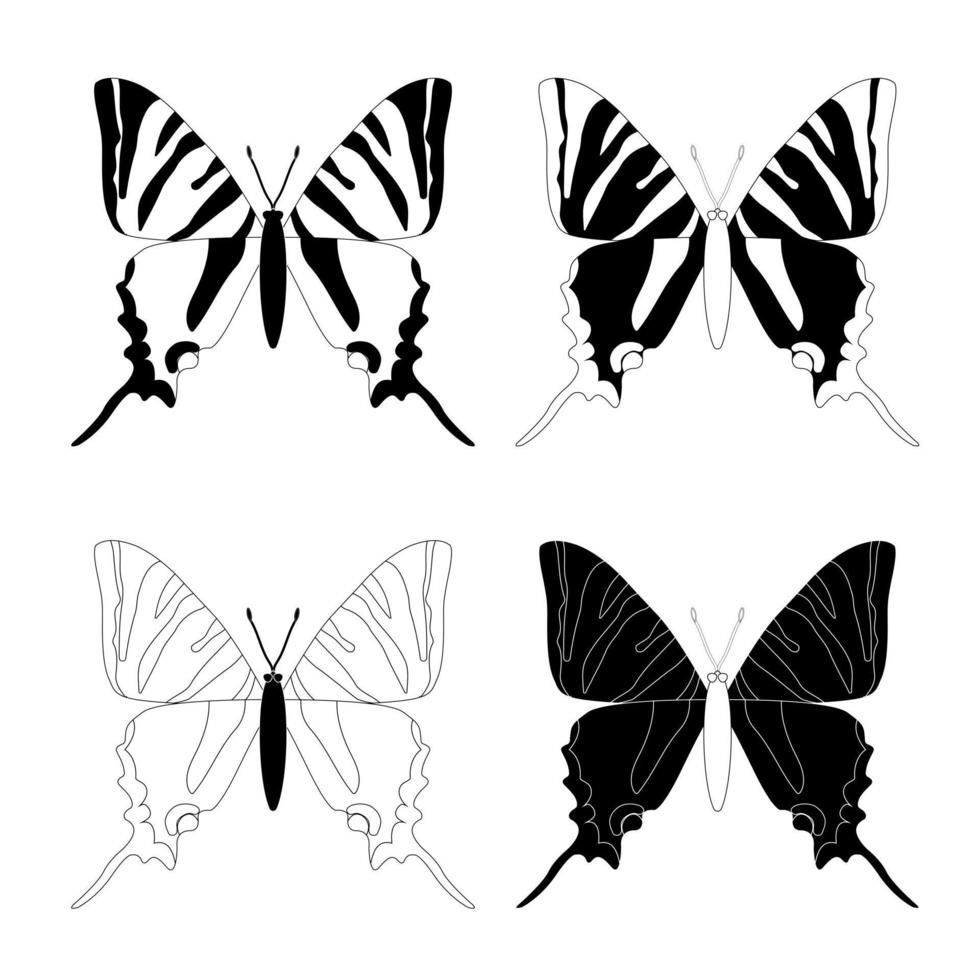 Species set, black and white butterfly insects, flat style. vector