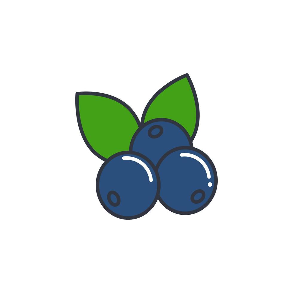 Blueberry with leaves color line icon isolated object vector