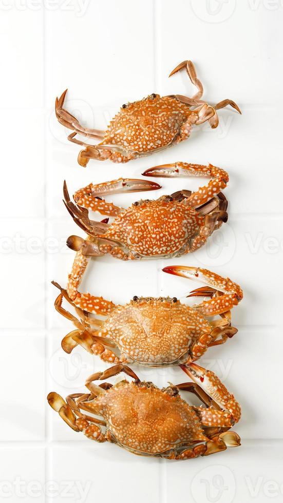 Flour Steamed Flower Crab Isolated on White Background photo