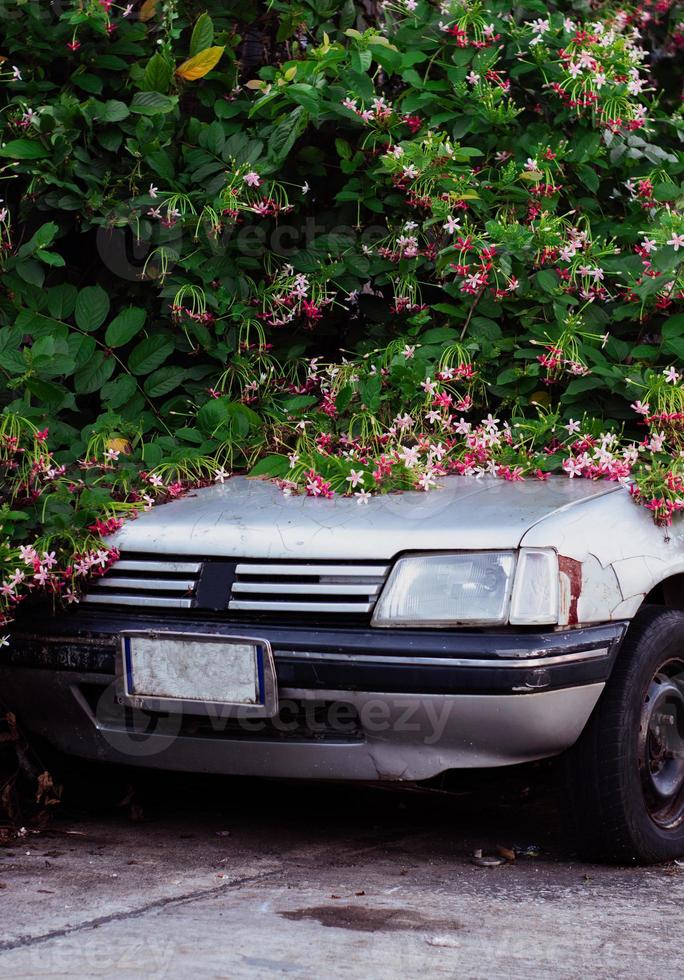 old car in bush flower photo