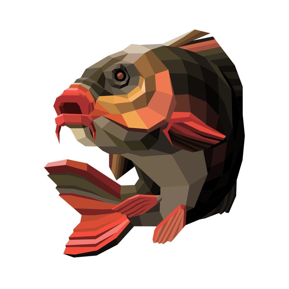 carpa pescado lowpoly ilustración vector diseño