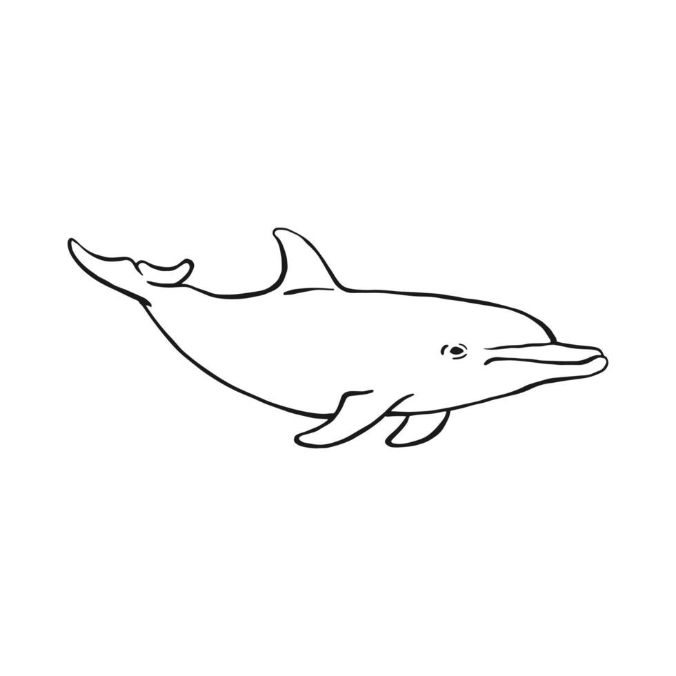 Dolphin. Hand drawn illustration converted to vector. Vector with animal underwater.